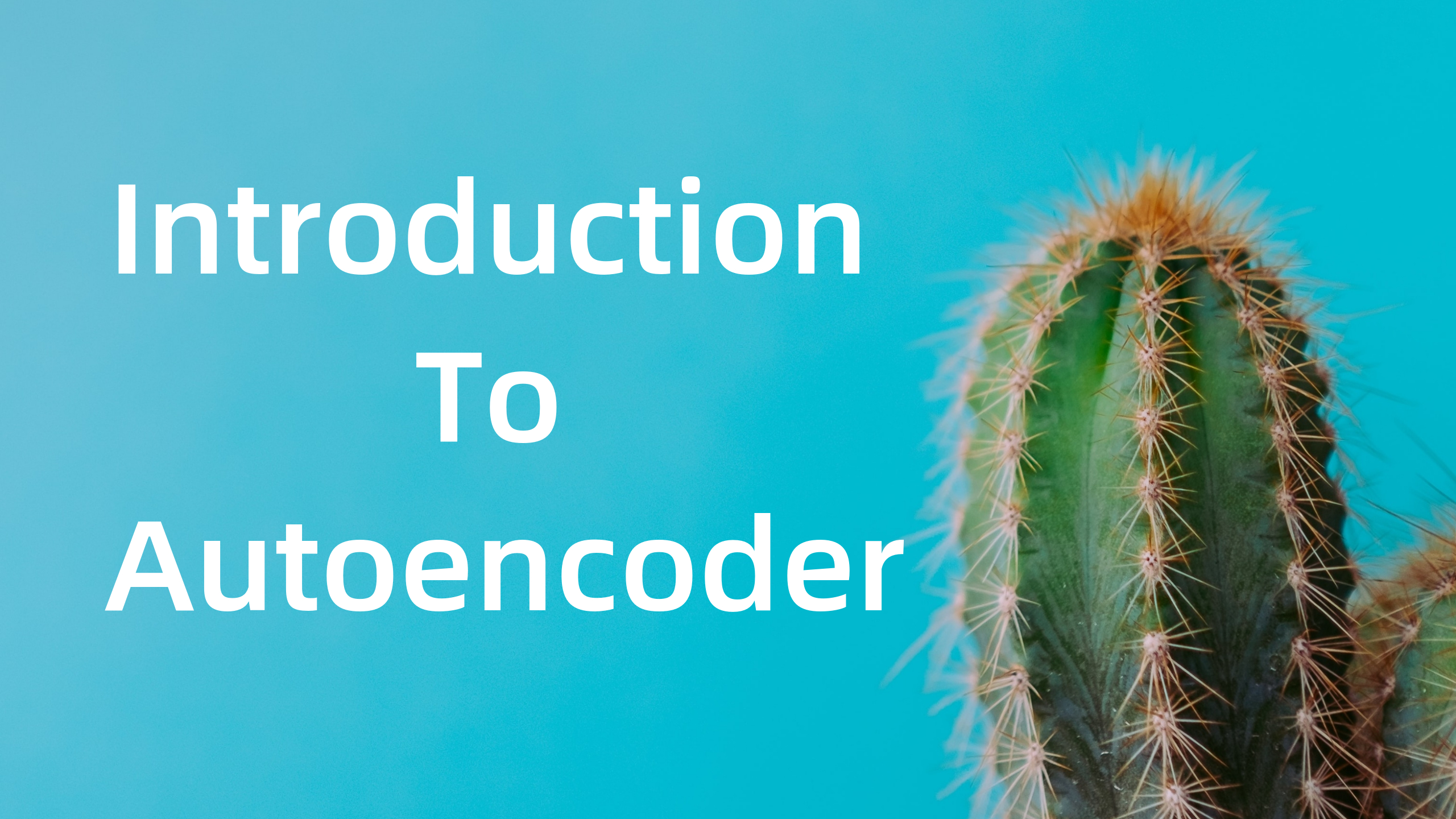 Introduction to Autoencoders