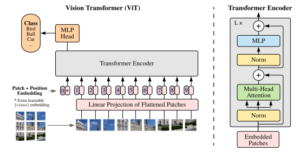 Vision Transformer