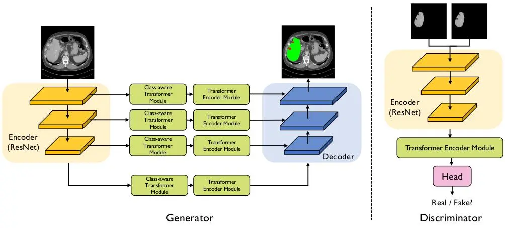 [Paper Summary] Class-Aware Adversarial Transformers for Medical Image Segmentation
