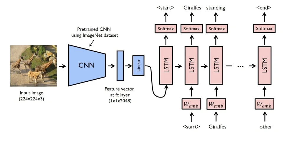 An image captioning model where CNN and LSTM are used.