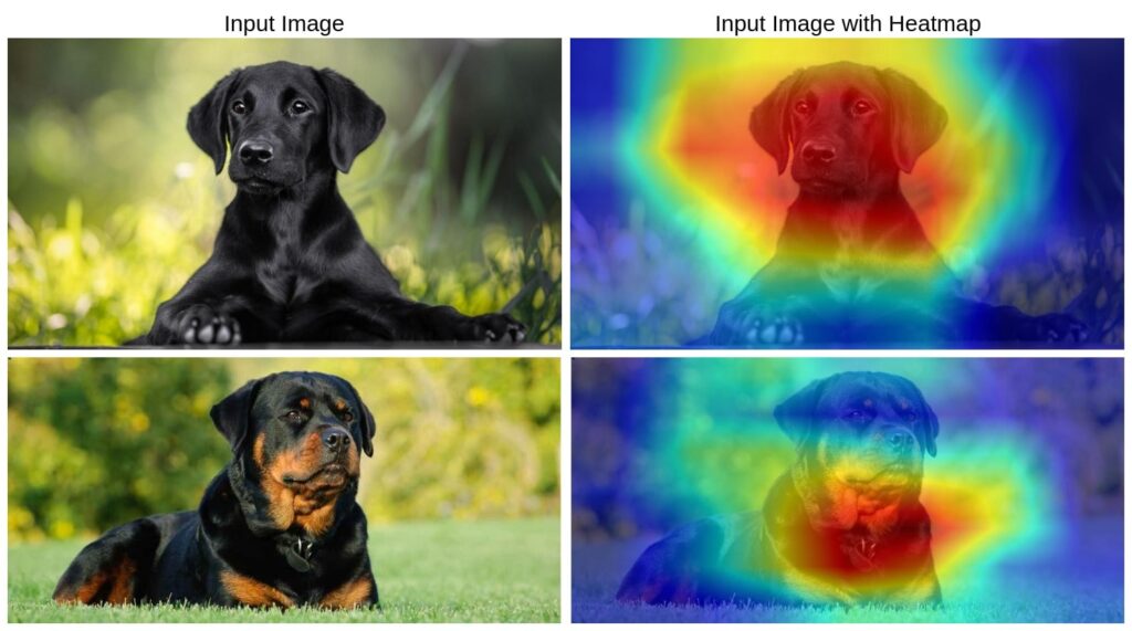 The figure shows the input image and the heatmap applied to it. The heatmap is computed using the GradCAM.