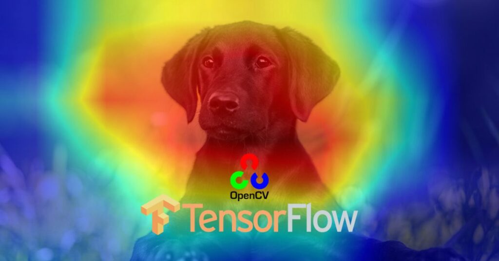 GradCAM with TensorFlow: Interpreting Neural Networks with Class Activation Maps