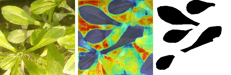 The GradCAM heatmap for background class.