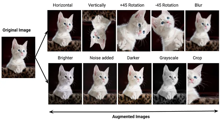 An example of image augmentation.