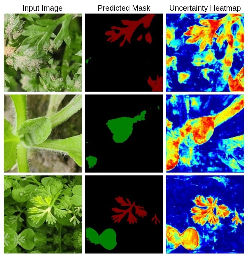 The visual results from approach 1: Uncertainty Estimation via Post-Training Dropout Injection