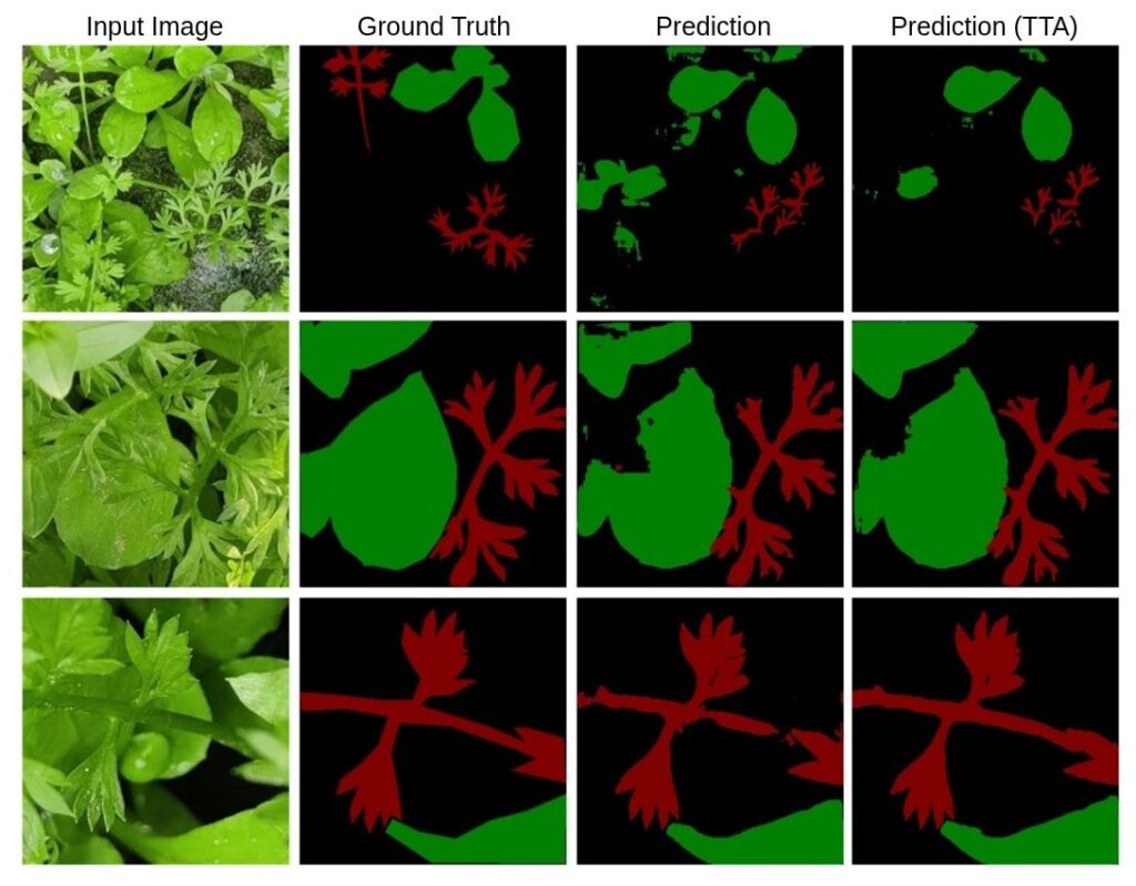 The visual results showing the improvement in the predicted masks with Test Time Augmentation.